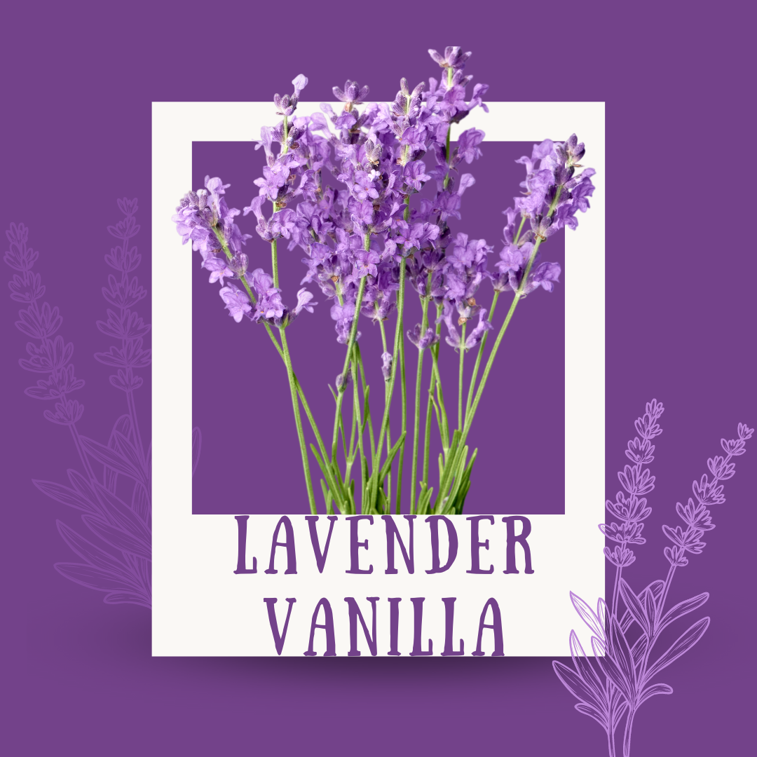 Lavender & Vanilla